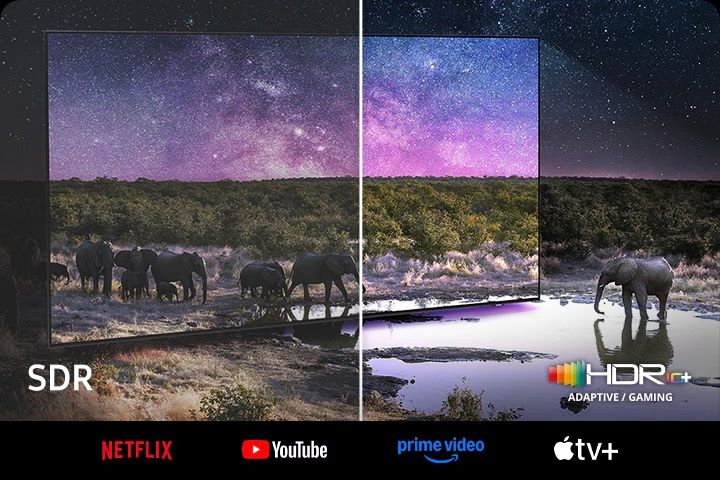 Công nghệ Neo Quantum HDR+