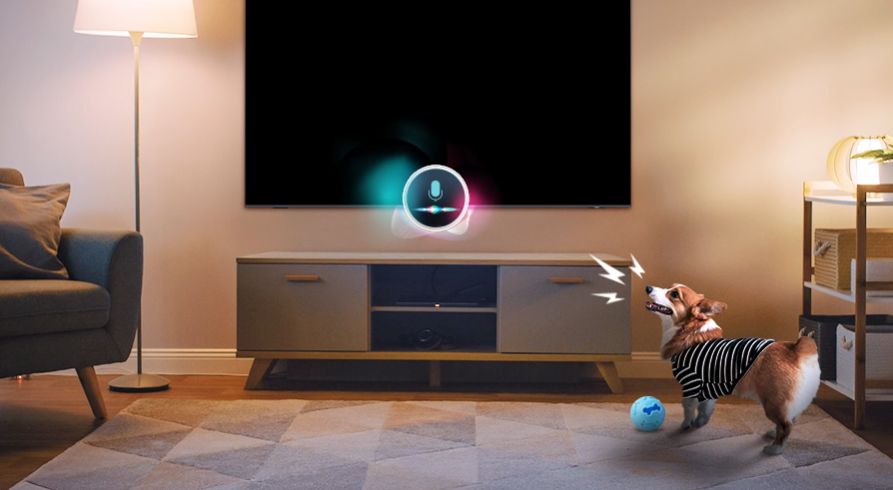 Chế độ Pet Care giữ kết nối với thú cưng cả khi bạn không có nhà 