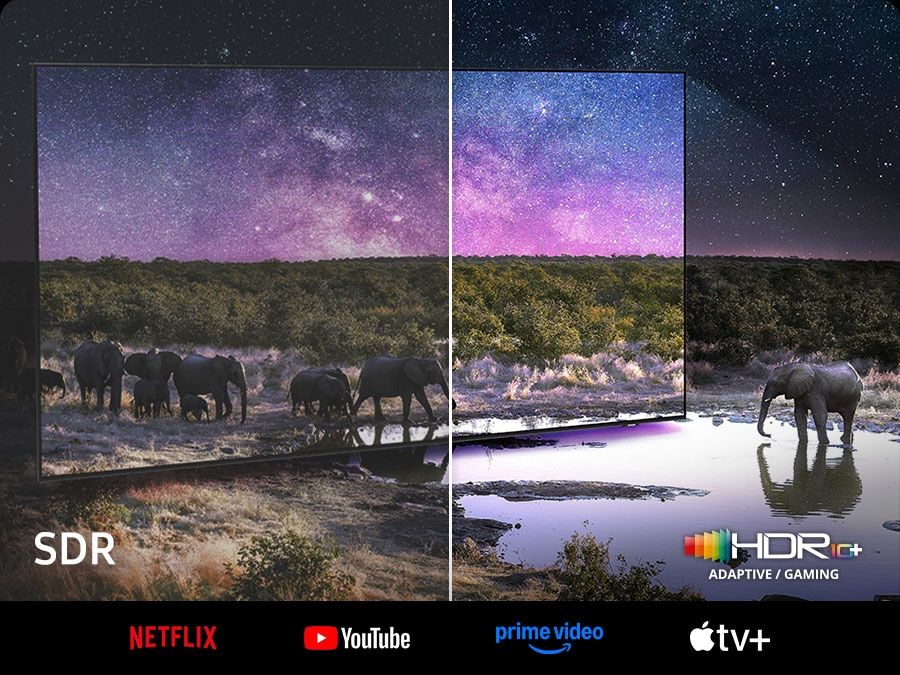 Công nghệ Neo Quantum HDR mang đến hình ảnh chân thực 